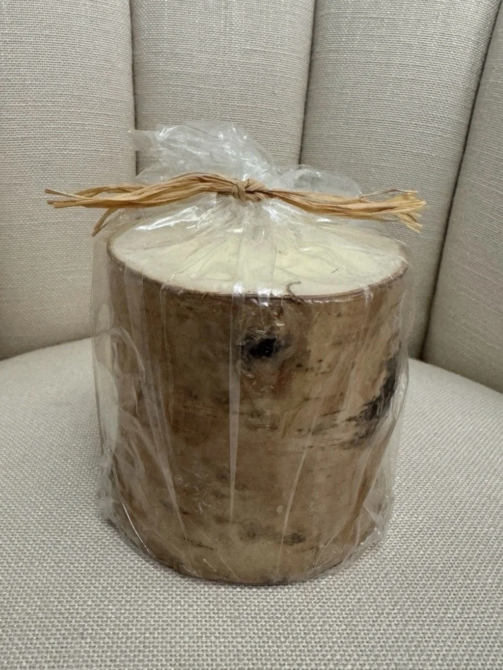 NWT Pottery Barn Birch Bark Pillar Candle 4